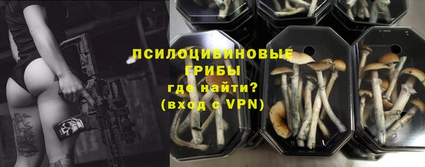 МДПВ Белокуриха