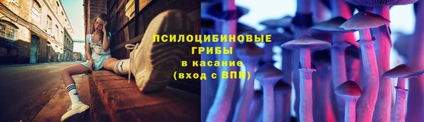 МДПВ Белокуриха