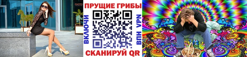kraken вход  сколько стоит  Брюховецкая  Псилоцибиновые грибы ЛСД 