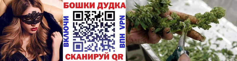 Шишки марихуана семена Брюховецкая